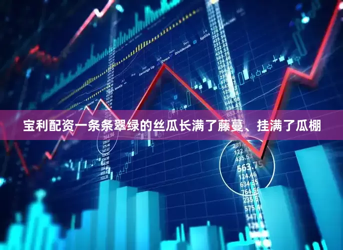 宝利配资一条条翠绿的丝瓜长满了藤蔓、挂满了瓜棚