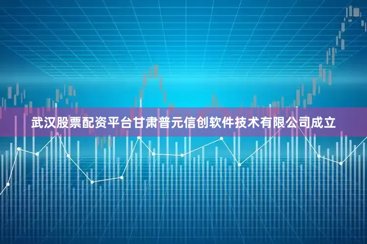 武汉股票配资平台甘肃普元信创软件技术有限公司成立