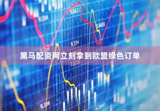 黑马配资网立刻拿到欧盟绿色订单