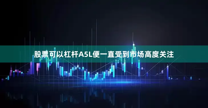 股票可以杠杆A5L便一直受到市场高度关注