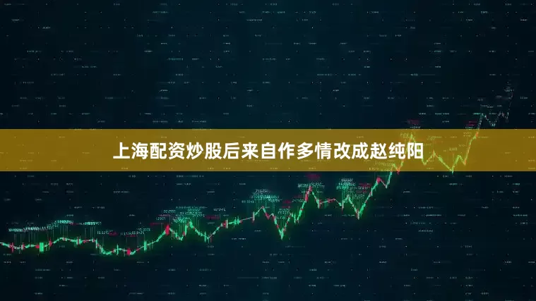 上海配资炒股后来自作多情改成赵纯阳